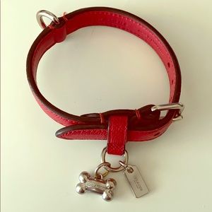 Coach small dog collar 🐶